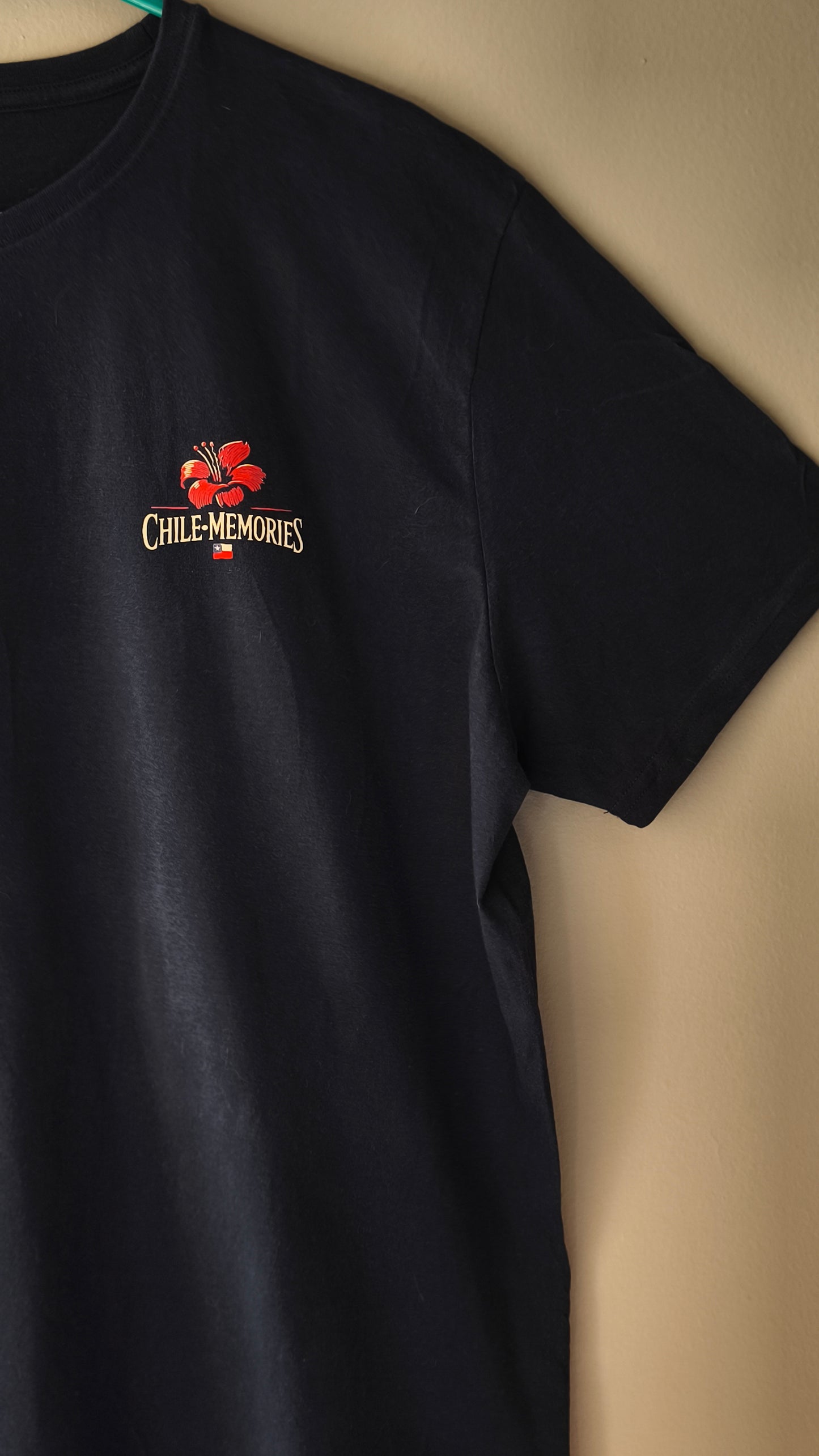 Polera Torres del Paine