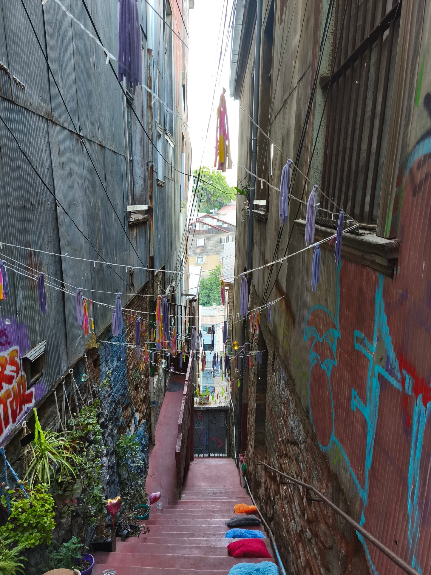 Valparaíso Full Day