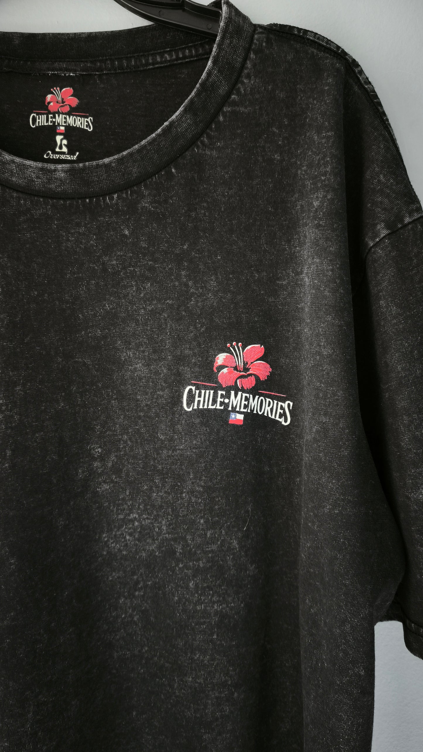 Polera Torres del Paine