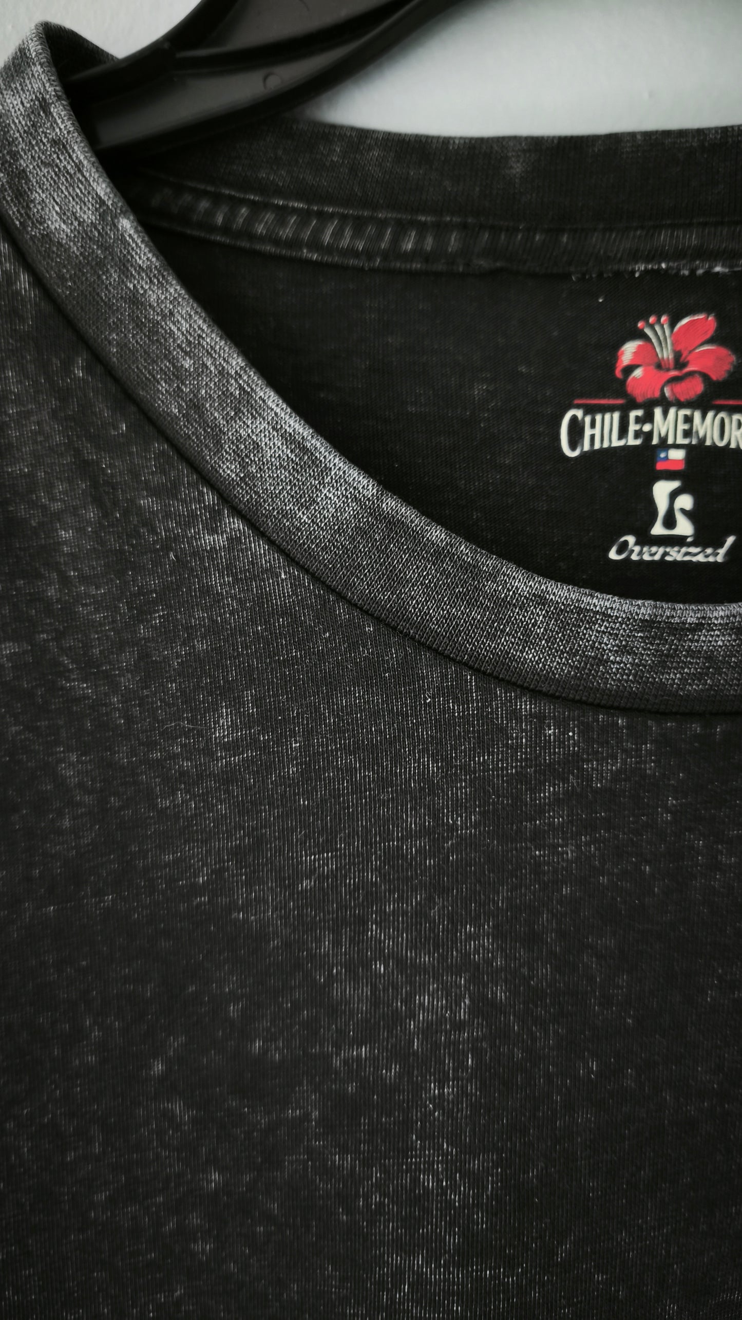 Polera Torres del Paine