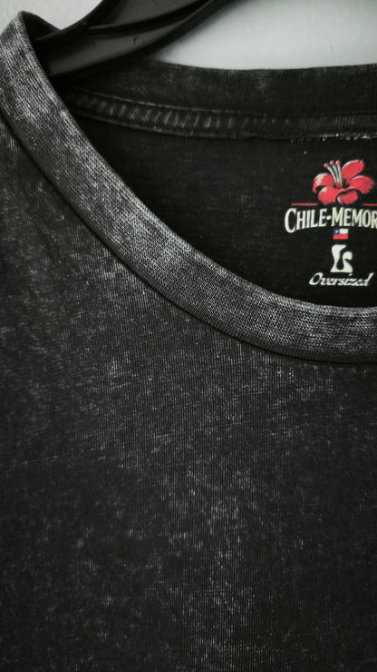 Polera Torres del Paine