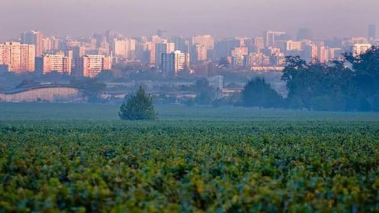 Santiago Through Time & Wine