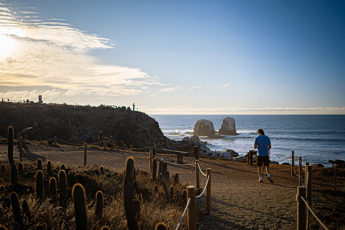 Pichilemu Surf & Costa