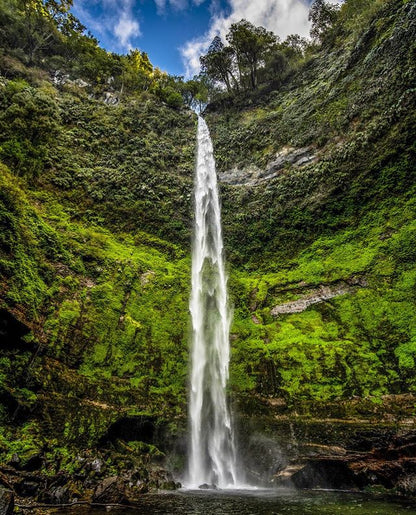 Pucón, la región de la Araucanía 5 días / 4 noches