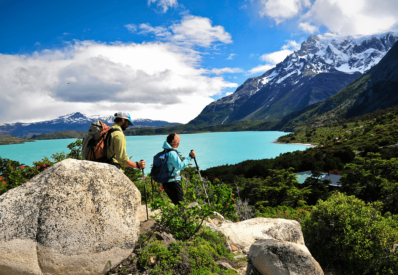 Torres del Paine