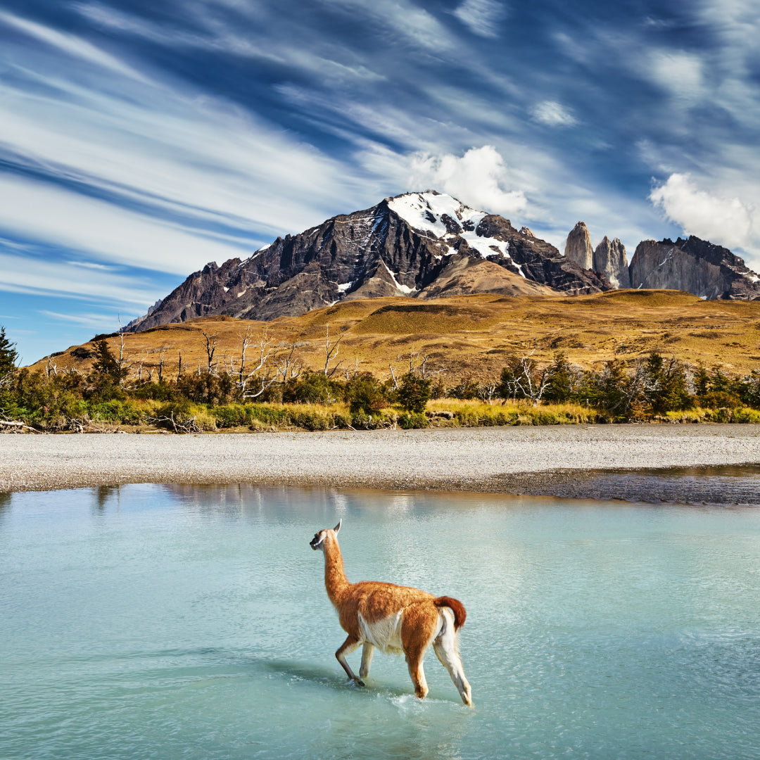Torres del Paine