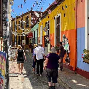 Valparaíso & Viña del Mar Arte, Costa y Bohemia.